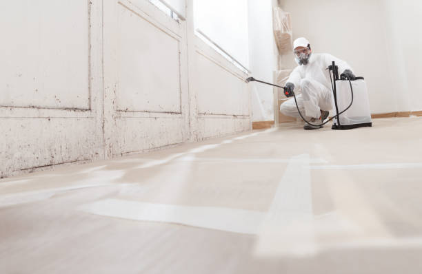 24/7 Emergency Mold Testing experts in Lexington, VA