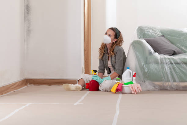 Reliable Mold Cleanup contractor in Lexington, VA by Cheap Mold Removal