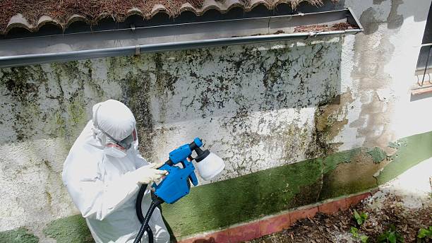 Top rated local Mold Cleanup specialists in Lexington, VA
